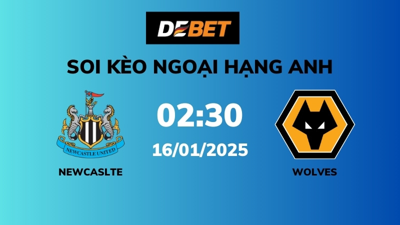 Phong độ của Newcastle United
